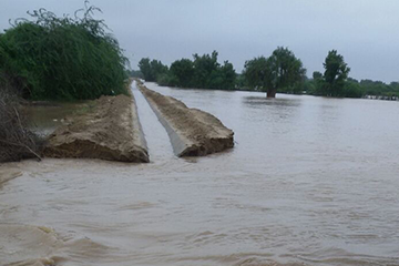 Flood Before