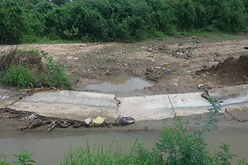 Flood Before