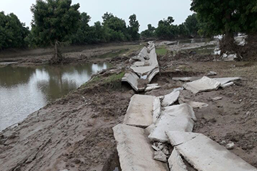 Flood Before