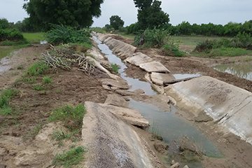 Flood Before