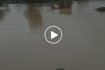 Flood Video