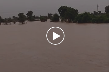 Flood Video